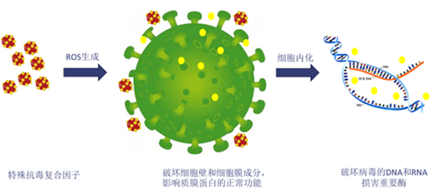 立邦隆重推出抗病毒粉末VBS002