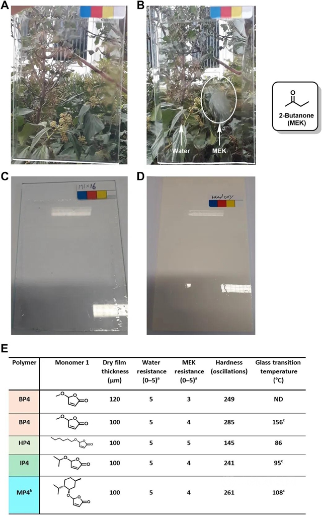 基于糠醛的生物基树脂有望替代传统石油基丙烯酸酯，应用于涂料领域