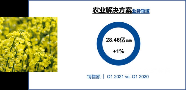 狂揽235亿美元，巴斯夫第一季度利润增长42%