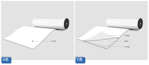 试产成功！卓宝新增高分子防水卷材产线，助推“双碳”目标