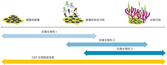 防污get！PPG最新船舶保护小能手已就位！