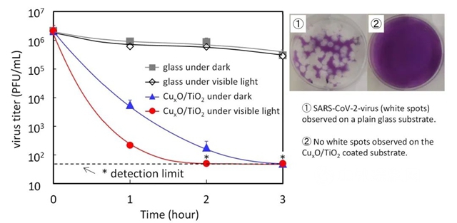 新型光催化剂抗病毒涂层被发现对各种新冠病毒变种有效