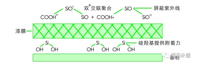 恒和永盛产品推介 |增稠响应度高，耐沾污性能好，光泽度高的硅丙乳液LR-395