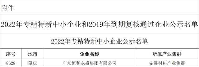 恒和永盛集团荣膺“2022年广东省专精特新中小企业”荣誉称号