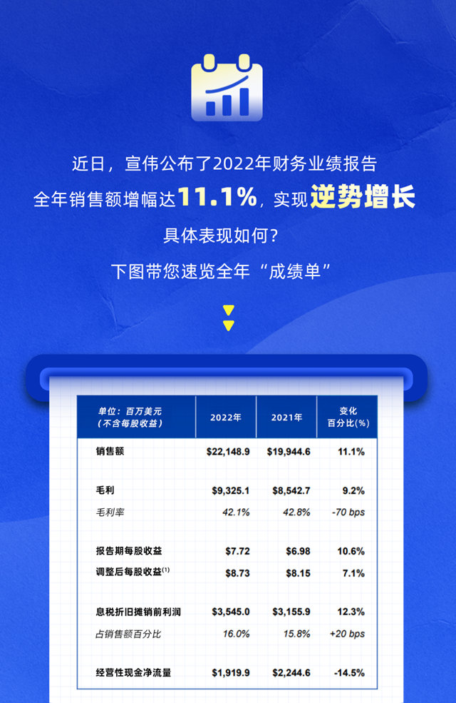 一图读懂《宣伟2022全年财报》