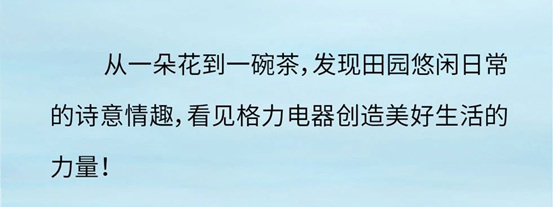 前三期捷报出炉｜格力携手央视《山水间的家》继续共赴山水之约！