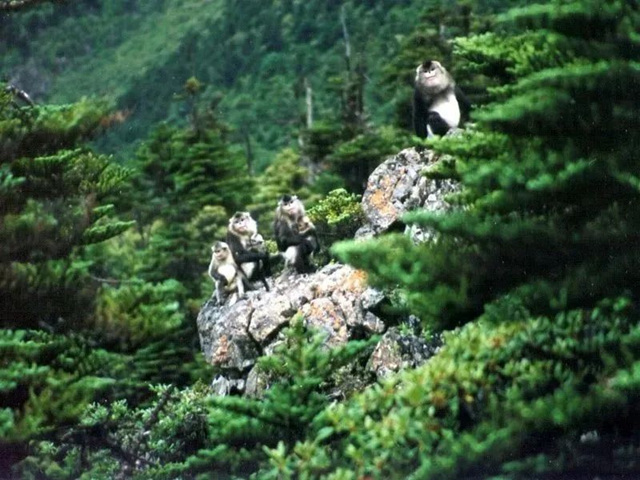 昕诺飞携手极地未来 开启光与生物多样性科普旅程