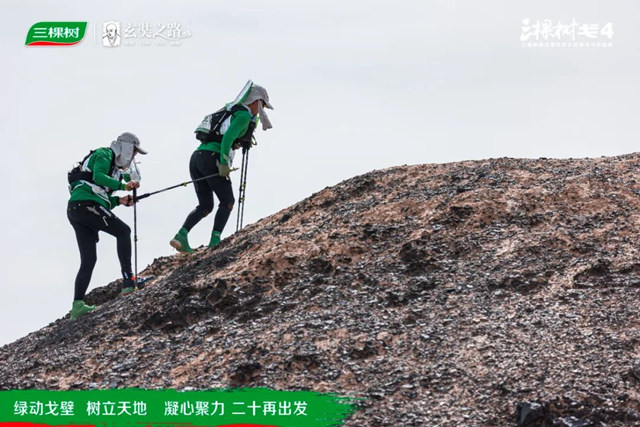 绿动戈壁·树立天地丨戈4第二日：穿越盐碱地，征服“火焰山”