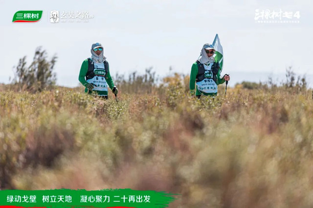 绿动戈壁·树立天地丨戈4第二日：穿越盐碱地，征服“火焰山”