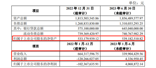 与全资子公司互为担保7.48亿，超过飞鹿年收入