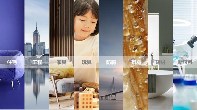 再获认可|紫荆花获评“2023年上海市品牌培育标杆企业”