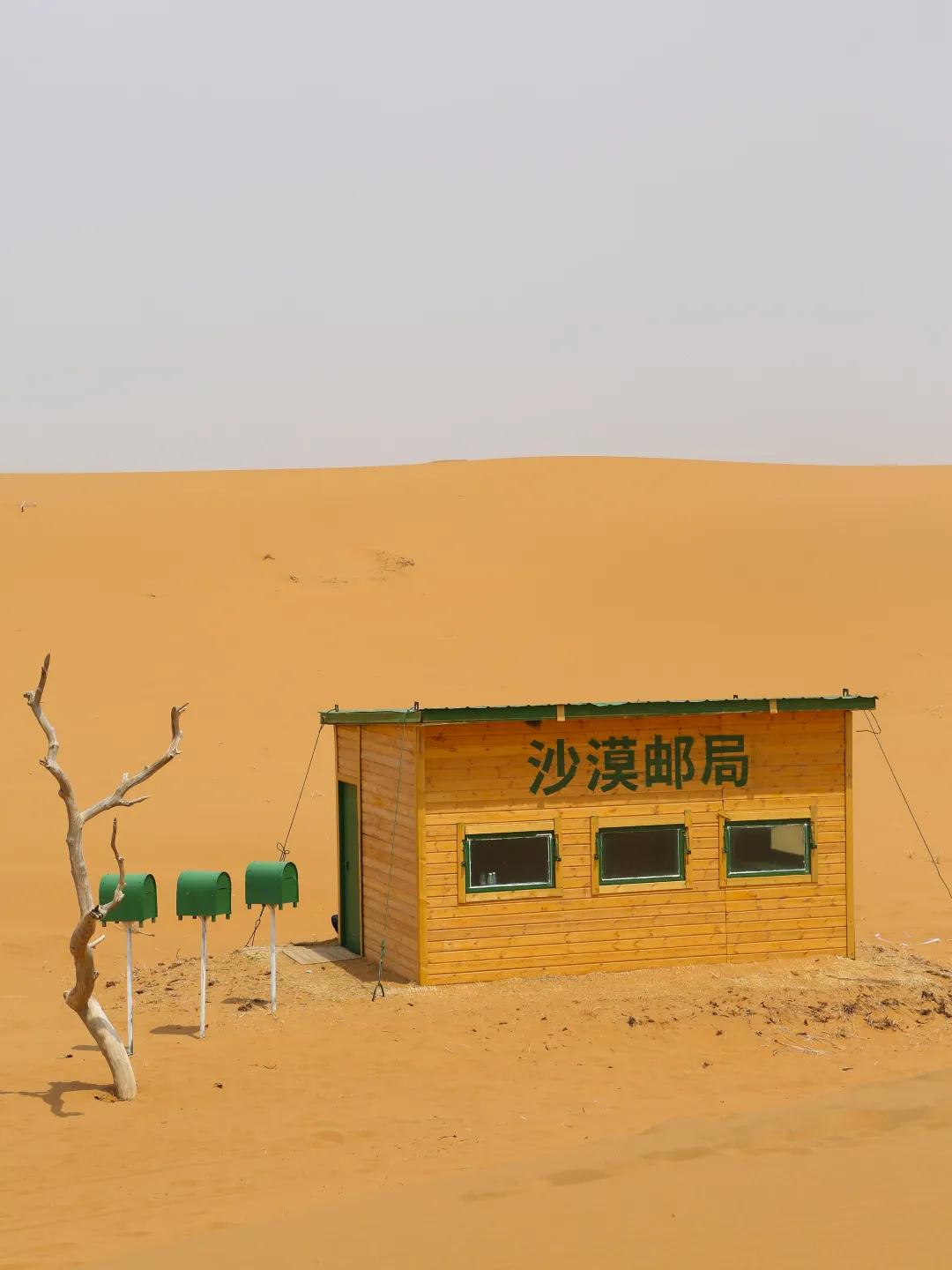 欧大师门窗联名沙漠邮局，共同逐光沙漠开启极境探索