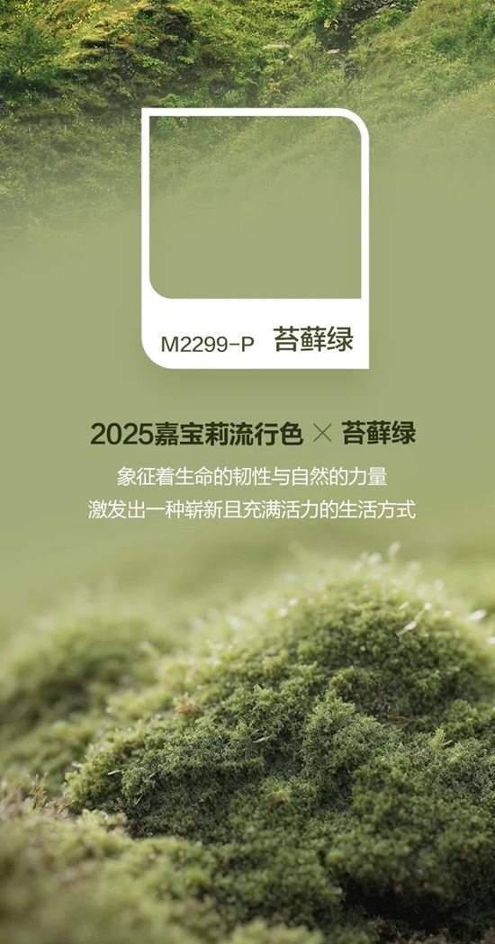 自然觉醒时刻！嘉宝莉2025流行色出炉！