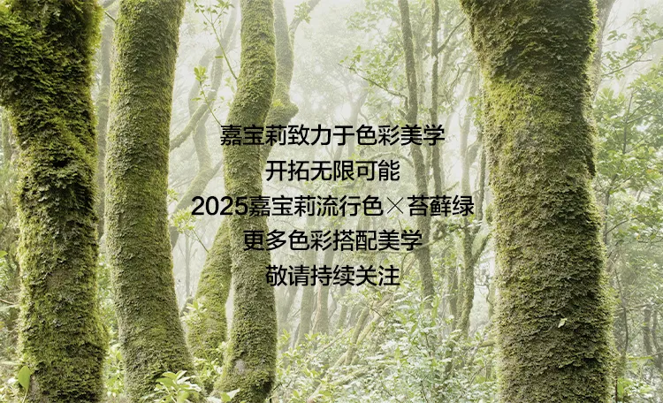 引领审美潮流，嘉宝莉2025流行色重磅发布！