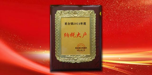 百川化工荣获2024年度“纳税大户”称号